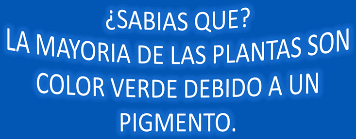 El color verde de las plantas
